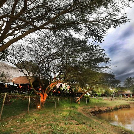 Mara River Lodge Aitong ภายนอก รูปภาพ